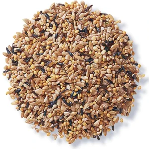 Bird Seed Mix